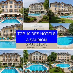 Top 1 des Hôtels à Saubion
